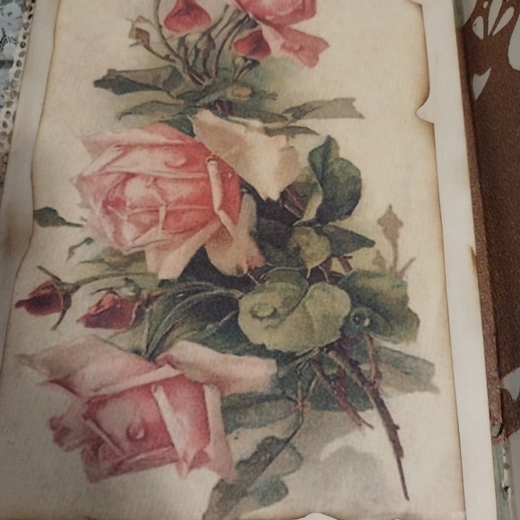 Ivy-plant journal